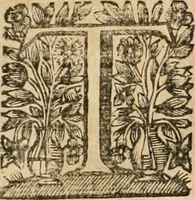 An illustration from La estrella de Lima convertida en sol sobre sus tres coronas, el b. Toribio Alfonso Mogrobexo, su segundo arzobispo: celebrado con epitalamios sacros y solemnes cultos, por su esposa la Santa Iglesia Metropolitana de Lima , al activo y soberano influxo del exmo. e illmo. señor doct. d. Melchor de Liñan y Cisneros ... : descripcion sacro politica de las grandezas de la ciudad de Lima, y compendio historico eclesiastico de su Santa Iglesia Metropolitana (1688)