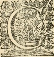 An illustration from La estrella de Lima convertida en sol sobre sus tres coronas, el b. Toribio Alfonso Mogrobexo, su segundo arzobispo: celebrado con epitalamios sacros y solemnes cultos, por su esposa la Santa Iglesia Metropolitana de Lima , al activo y soberano influxo del exmo. e illmo. señor doct. d. Melchor de Liñan y Cisneros ... : descripcion sacro politica de las grandezas de la ciudad de Lima, y compendio historico eclesiastico de su Santa Iglesia Metropolitana (1688)