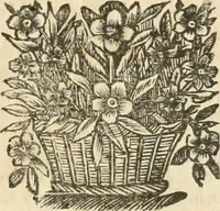 An illustration from La estrella de Lima convertida en sol sobre sus tres coronas, el b. Toribio Alfonso Mogrobexo, su segundo arzobispo: celebrado con epitalamios sacros y solemnes cultos, por su esposa la Santa Iglesia Metropolitana de Lima , al activo y soberano influxo del exmo. e illmo. señor doct. d. Melchor de Liñan y Cisneros ... : descripcion sacro politica de las grandezas de la ciudad de Lima, y compendio historico eclesiastico de su Santa Iglesia Metropolitana (1688)