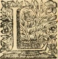 An illustration from La estrella de Lima convertida en sol sobre sus tres coronas, el b. Toribio Alfonso Mogrobexo, su segundo arzobispo: celebrado con epitalamios sacros y solemnes cultos, por su esposa la Santa Iglesia Metropolitana de Lima , al activo y soberano influxo del exmo. e illmo. señor doct. d. Melchor de Liñan y Cisneros ... : descripcion sacro politica de las grandezas de la ciudad de Lima, y compendio historico eclesiastico de su Santa Iglesia Metropolitana (1688)