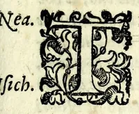 Picture 6 of 9 from La falsa ripvtatione della fortvna : favola morale (1596), leaf 25