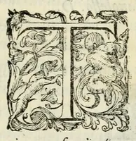 An illustration from La favsta et felice elettione in re di Polonia, del seren.mo & valorosis.mo Henrico di Valois, duca d'Angiò, fratello di Carlo IX. christianiss. rè di Francia : con l'offerte di S. M.tà & de gli altri prencipi suoi competitori, & nomi de gli elettori : con vn discorso nel quale si contengono l'origine, sito, qualità, ricchezze, costumi, modo de gouerno, e forze de Poloni; le imprese fatte da gli re Iagelloni (1573)