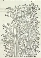 Picture 59 of 94 from La fidelle ouverture de l'art de serrurier : ou l'on void les principaulx preceptes, desseings [sic] et figures touchant les experiences et operations manuelles dudict art : ensemble vn petit traicté de diverses trempes, le tout (1627), leaf 127