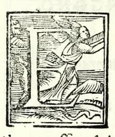 An illustration from La Fiorina : comedia facetissima, giocosa, et piena di piacevole allegrezza (1557)