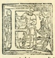 An illustration from La floria (1560)