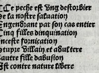 Picture 7 of 11 from La forest de conscience contenant la chasse des princes spirituelle (1516), leaf 89