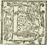 Picture 36 of 130 from La fortificatione, guardia, difesa, et espugnatione delle fortezze esperimentata in diuerse guerre (1624), leaf 104