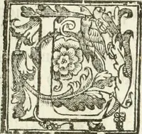 Picture 40 of 130 from La fortificatione, guardia, difesa, et espugnatione delle fortezze esperimentata in diuerse guerre (1624), leaf 116