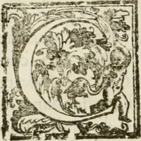 Picture 47 of 130 from La fortificatione, guardia, difesa, et espugnatione delle fortezze esperimentata in diuerse guerre (1624), leaf 135