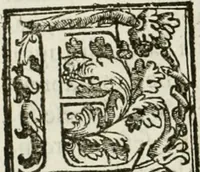 Picture 51 of 130 from La fortificatione, guardia, difesa, et espugnatione delle fortezze esperimentata in diuerse guerre (1624), leaf 143