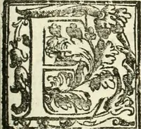 Picture 52 of 130 from La fortificatione, guardia, difesa, et espugnatione delle fortezze esperimentata in diuerse guerre (1624), leaf 146