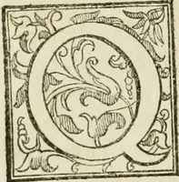 Picture 54 of 130 from La fortificatione, guardia, difesa, et espugnatione delle fortezze esperimentata in diuerse guerre (1624), leaf 167