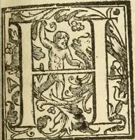 Picture 68 of 130 from La fortificatione, guardia, difesa, et espugnatione delle fortezze esperimentata in diuerse guerre (1624), leaf 210