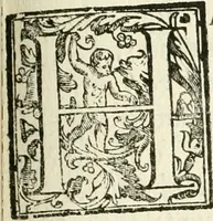 Picture 70 of 130 from La fortificatione, guardia, difesa, et espugnatione delle fortezze esperimentata in diuerse guerre (1624), leaf 226