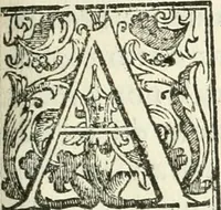 Picture 71 of 130 from La fortificatione, guardia, difesa, et espugnatione delle fortezze esperimentata in diuerse guerre (1624), leaf 234