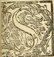 Picture 76 of 130 from La fortificatione, guardia, difesa, et espugnatione delle fortezze esperimentata in diuerse guerre (1624), leaf 246