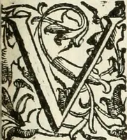 Picture 87 of 130 from La fortificatione, guardia, difesa, et espugnatione delle fortezze esperimentata in diuerse guerre (1624), leaf 276