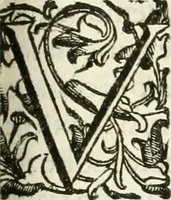 Picture 96 of 130 from La fortificatione, guardia, difesa, et espugnatione delle fortezze esperimentata in diuerse guerre (1624), leaf 300