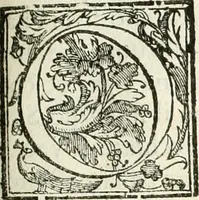 Picture 97 of 130 from La fortificatione, guardia, difesa, et espugnatione delle fortezze esperimentata in diuerse guerre (1624), leaf 306