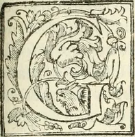 Picture 99 of 130 from La fortificatione, guardia, difesa, et espugnatione delle fortezze esperimentata in diuerse guerre (1624), leaf 310