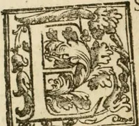 Picture 8 of 130 from La fortificatione, guardia, difesa, et espugnatione delle fortezze esperimentata in diuerse guerre (1624), leaf 33