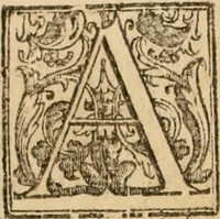 An illustration from La fortificatione, guardia, difesa, et espugnatione delle fortezze esperimentata in diuerse guerre (1624)