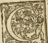 Picture 13 of 130 from La fortificatione, guardia, difesa, et espugnatione delle fortezze esperimentata in diuerse guerre (1624), leaf 37
