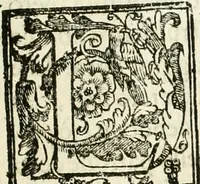 Picture 119 of 130 from La fortificatione, guardia, difesa, et espugnatione delle fortezze esperimentata in diuerse guerre (1624), leaf 372