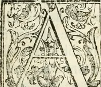 Picture 121 of 130 from La fortificatione, guardia, difesa, et espugnatione delle fortezze esperimentata in diuerse guerre (1624), leaf 380