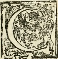 An illustration from La fortificatione, guardia, difesa, et espugnatione delle fortezze esperimentata in diuerse guerre (1624)