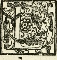 Picture 125 of 130 from La fortificatione, guardia, difesa, et espugnatione delle fortezze esperimentata in diuerse guerre (1624), leaf 390