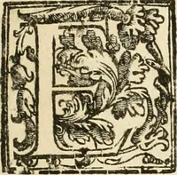 Picture 130 of 130 from La fortificatione, guardia, difesa, et espugnatione delle fortezze esperimentata in diuerse guerre (1624), leaf 408