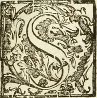 Picture 16 of 130 from La fortificatione, guardia, difesa, et espugnatione delle fortezze esperimentata in diuerse guerre (1624), leaf 48
