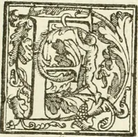Picture 20 of 130 from La fortificatione, guardia, difesa, et espugnatione delle fortezze esperimentata in diuerse guerre (1624), leaf 60