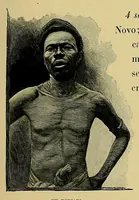 An illustration from La France au Dahomey (1895)