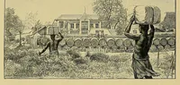 An illustration from La France au Dahomey (1895)