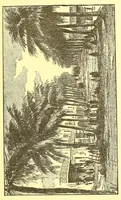 An illustration from La France au pays noir (1893)