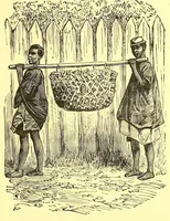 An illustration from La France au pays noir (1893)