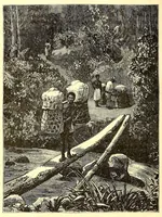 Picture 13 of 19 from La France coloniale illustrée : l'Algérie et les autres colonies françaises considerées au point de vue historique, géographique, ethnographique et commercial (1895), leaf 268
