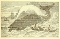 An illustration from La France coloniale illustrée : l'Algérie et les autres colonies françaises considerées au point de vue historique, géographique, ethnographique et commercial (1895)