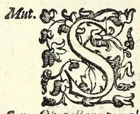 An illustration from La fravde : comedia nvova (1597)