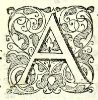 Picture 9 of 17 from La fravde : comedia nvova (1597), leaf 51