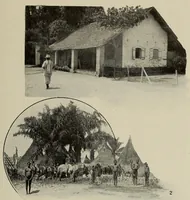 An illustration from L'Afrique equatoriale illustrée (1913)