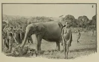 An illustration from L'Afrique equatoriale illustrée (1913)