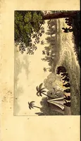 An illustration from L'Afrique, ou Histoire, moeurs, usages et coutumes des africains : le Sénégal (1814)