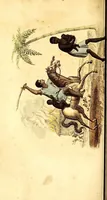 An illustration from L'Afrique, ou Histoire, moeurs, usages et coutumes des africains : le Sénégal (1814)