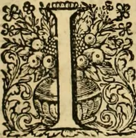 An illustration from La gallerie des femmes fortes (1647)