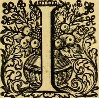 Picture 51 of 105 from La gallerie des femmes fortes (1647), leaf 192