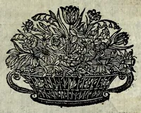 An illustration from La gallerie des femmes fortes (1665)