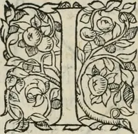 An illustration from La geomance dv Seigneur Christofe de Cattan, gentilhomme Geneuoys. Liure non moins plaisant & recreatif. Auec la roüe de Pythagoras (1558)